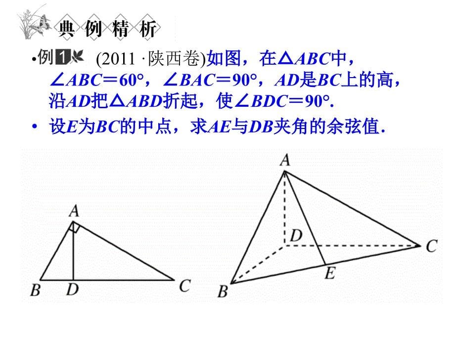 立体几何中的向量方法求空间角（苍柏书屋）_第5页