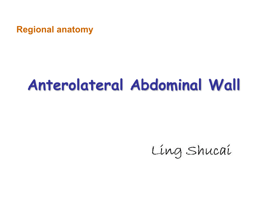 《局部解剖学》英文课件：Anterolateral Abdominal Wall_第1页