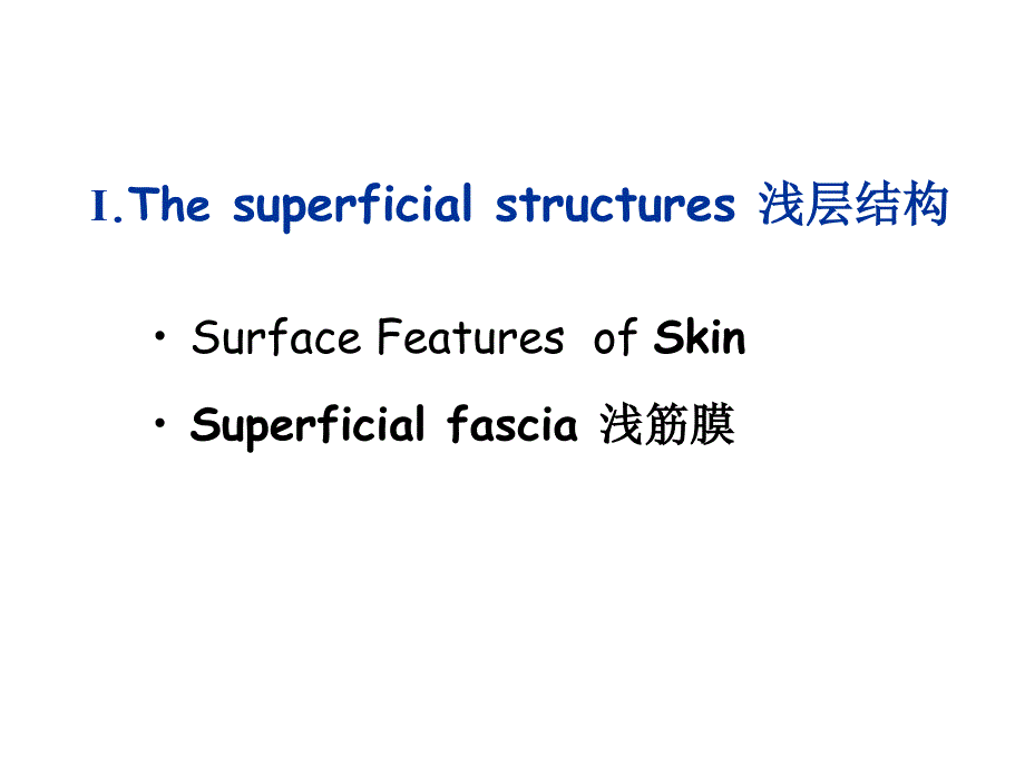 《局部解剖学》英文课件：Anterolateral Abdominal Wall_第4页