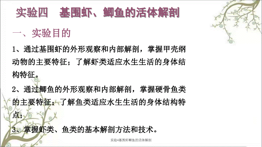 实验4基围虾鲫鱼的活体解剖_第1页