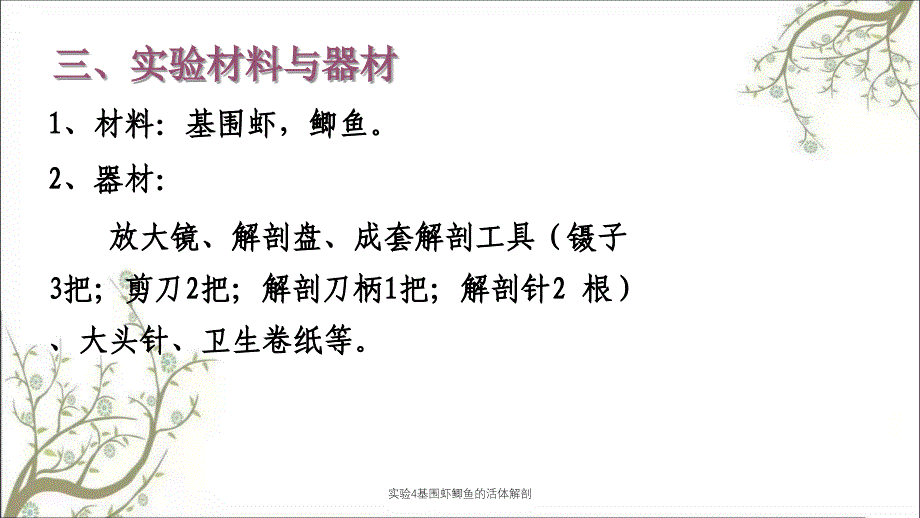 实验4基围虾鲫鱼的活体解剖_第3页