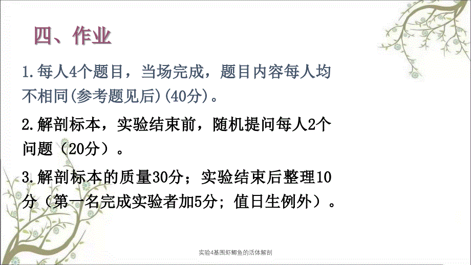 实验4基围虾鲫鱼的活体解剖_第4页