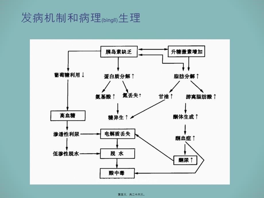 小儿糖尿病酮症酸中毒47666课件_第5页