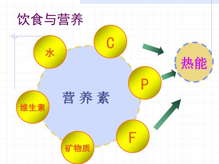 《基础护理学》课件：第十章 饮食与营养_第4页