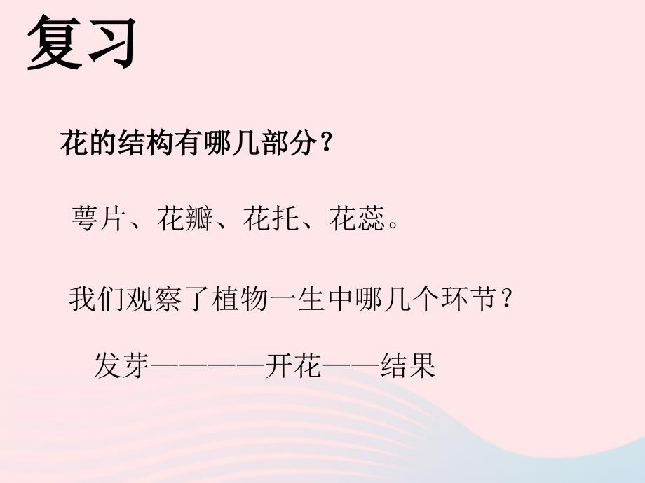 最新四年级科学下册2.1花开花落为哪课件4湘教版湘教版小学四年级下册自然科学课件_第1页