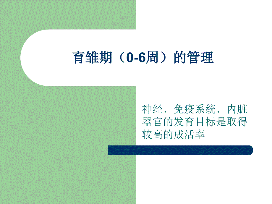 蛋鸡的饲养管理技术_第4页