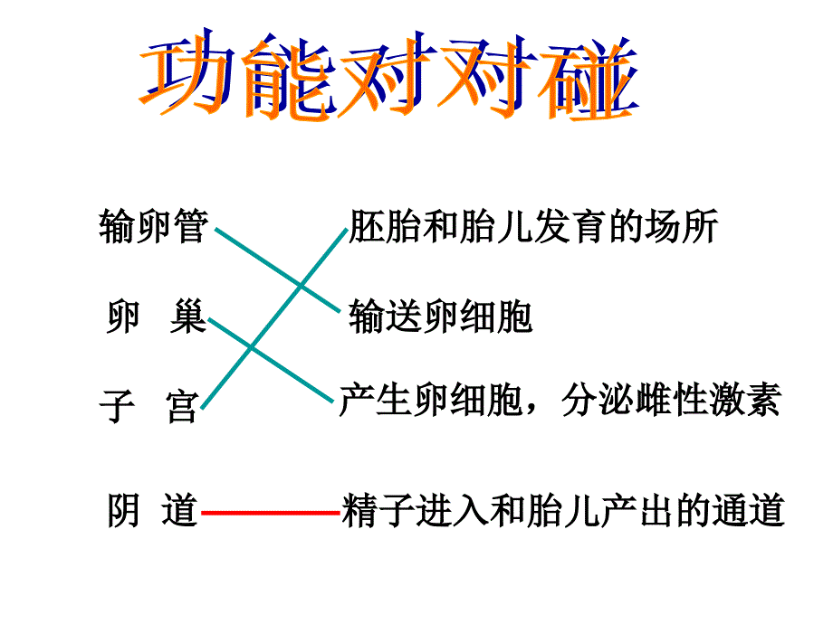 苏教版七年级生物下册期中复习ppt_第4页