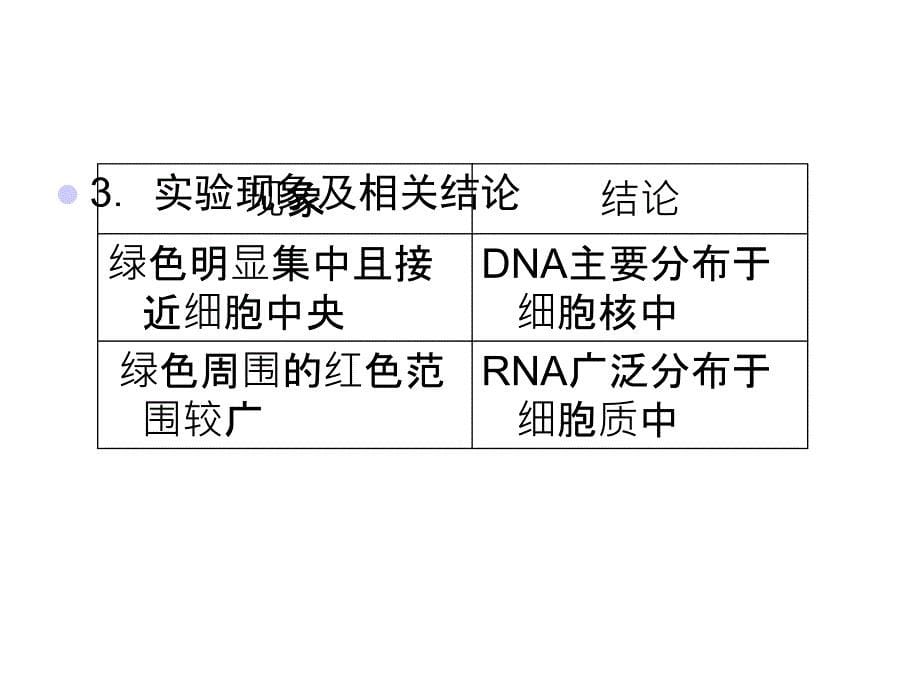 观察DNA和RNA在细胞中的分布_第5页