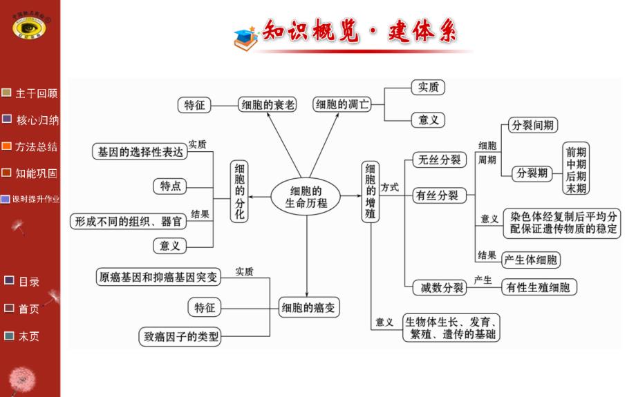 高三生物金榜频道一轮课件必修细胞的增殖_第2页