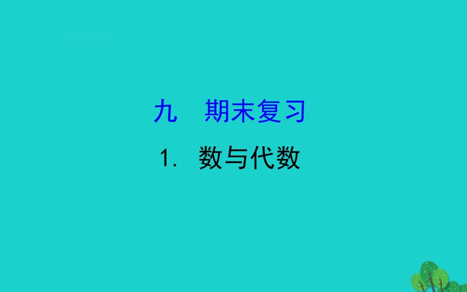 二年级数学下册九期末复习1数与代数课件苏教版_第1页