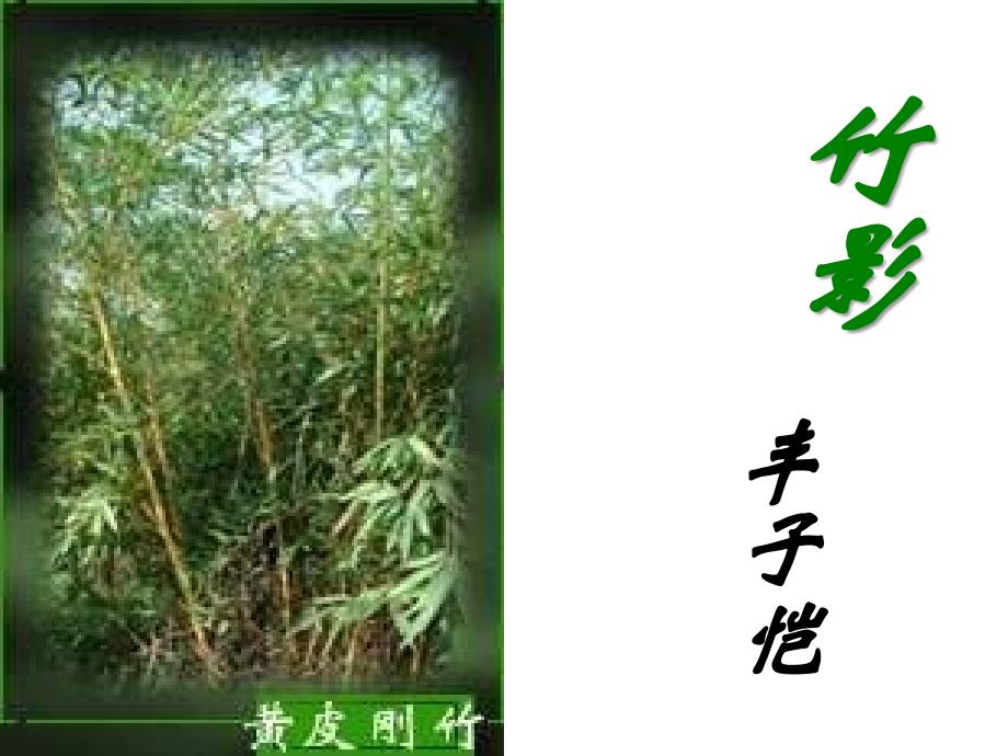 七年级语文竹影4_第1页