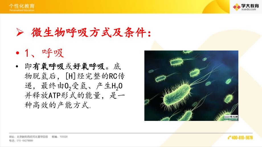 微生物呼吸的方式和条件PPT_第2页