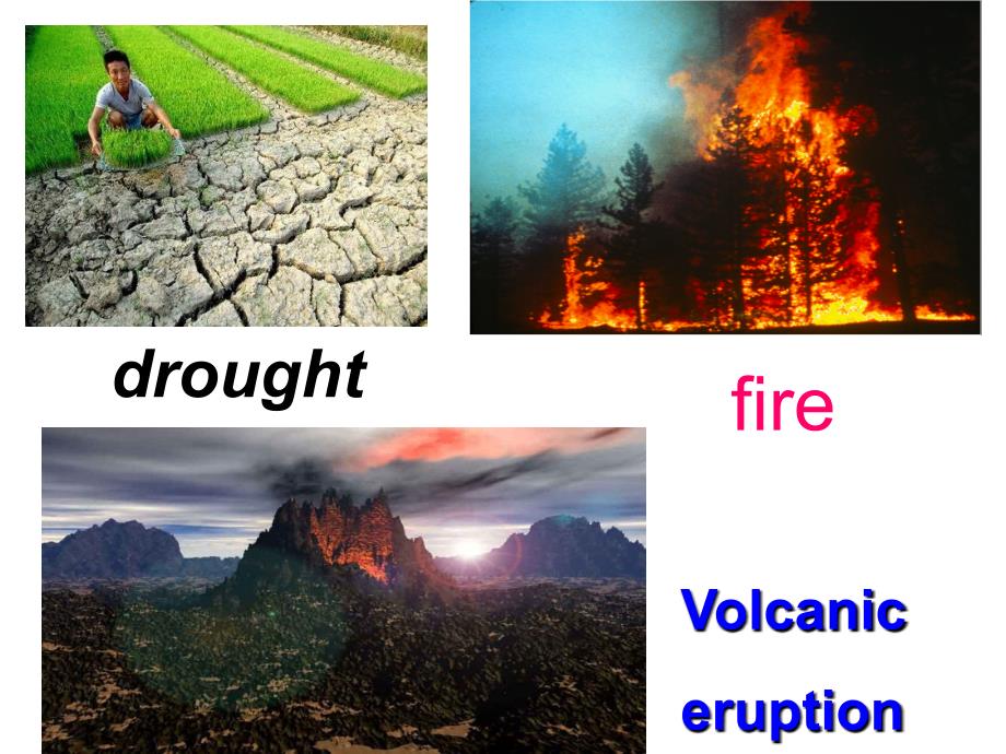 陈圣汝高一英语必修1unit4Earthquakes_第3页