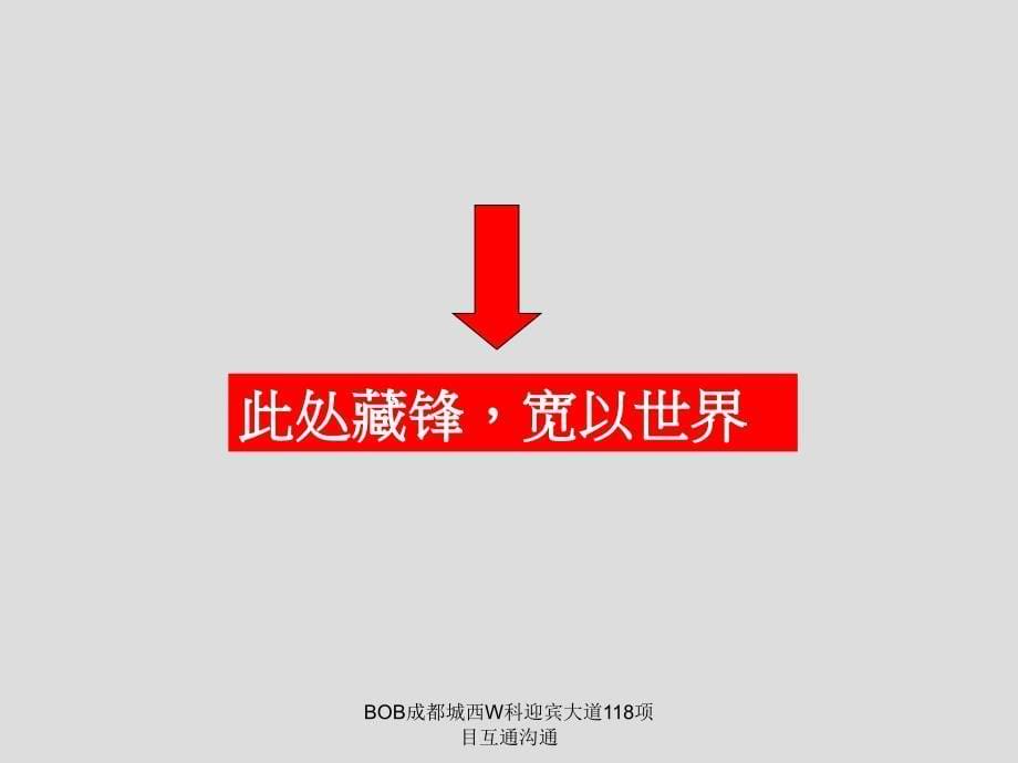 BOB成都城西W科迎宾大道118项目互通沟通课件_第5页