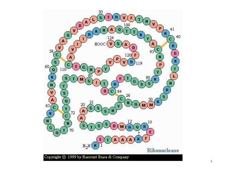 生物化学ppt课件_第4页