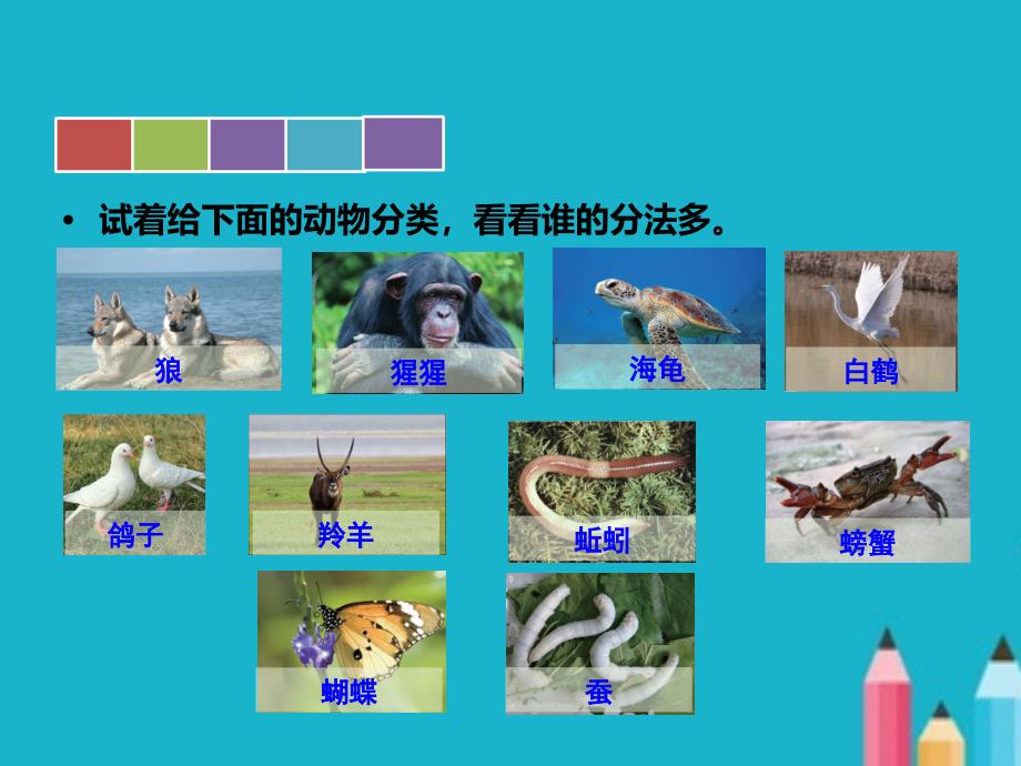 二年级语文上册语文园地八PPT课件人教版.ppt_第2页