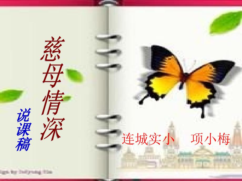 慈母情深说课课件.ppt_第1页