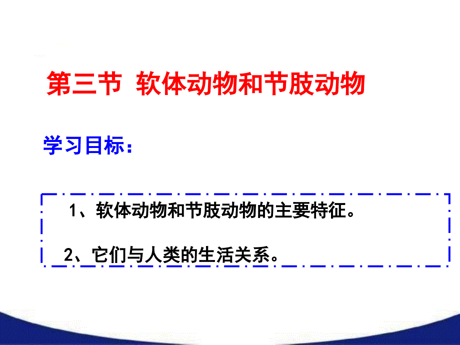 软体动物和节肢动物课堂PPT_第2页