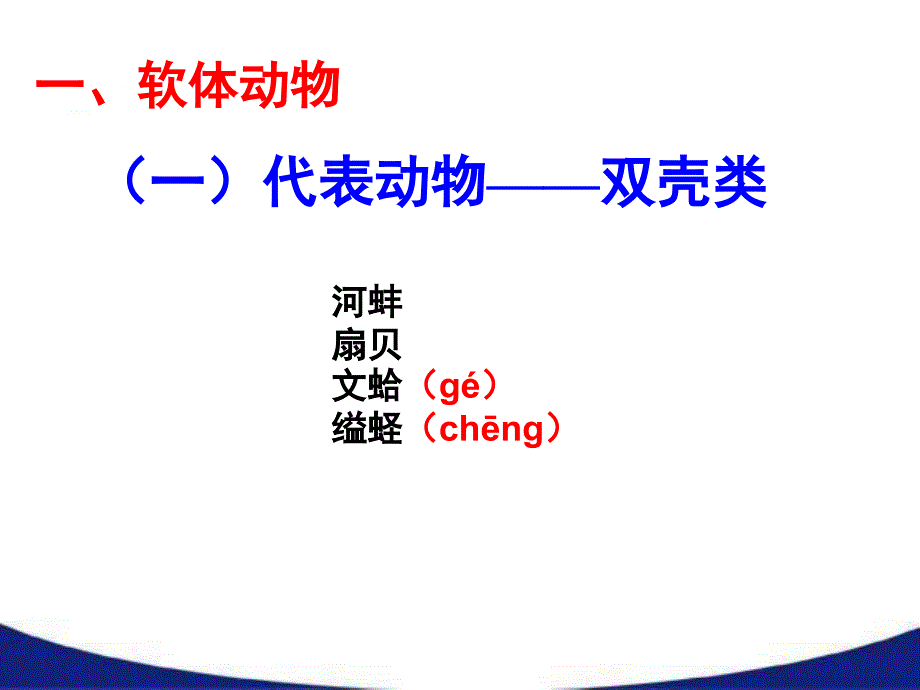 软体动物和节肢动物课堂PPT_第3页