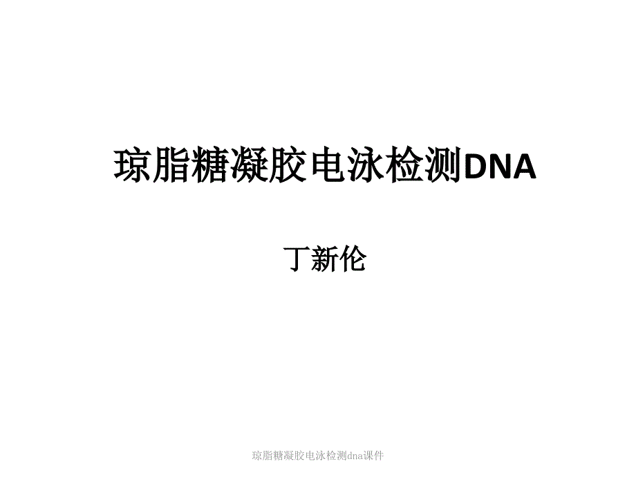 琼脂糖凝胶电泳检测dna课件_第1页