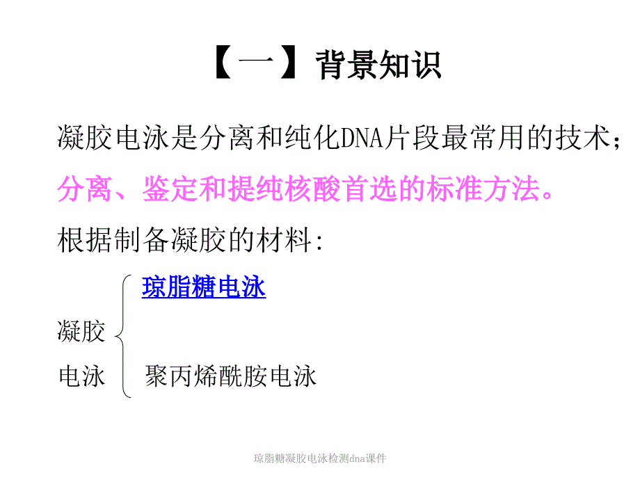 琼脂糖凝胶电泳检测dna课件_第2页