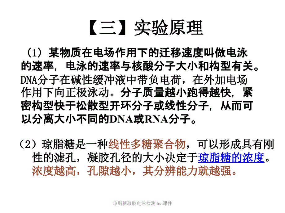 琼脂糖凝胶电泳检测dna课件_第4页