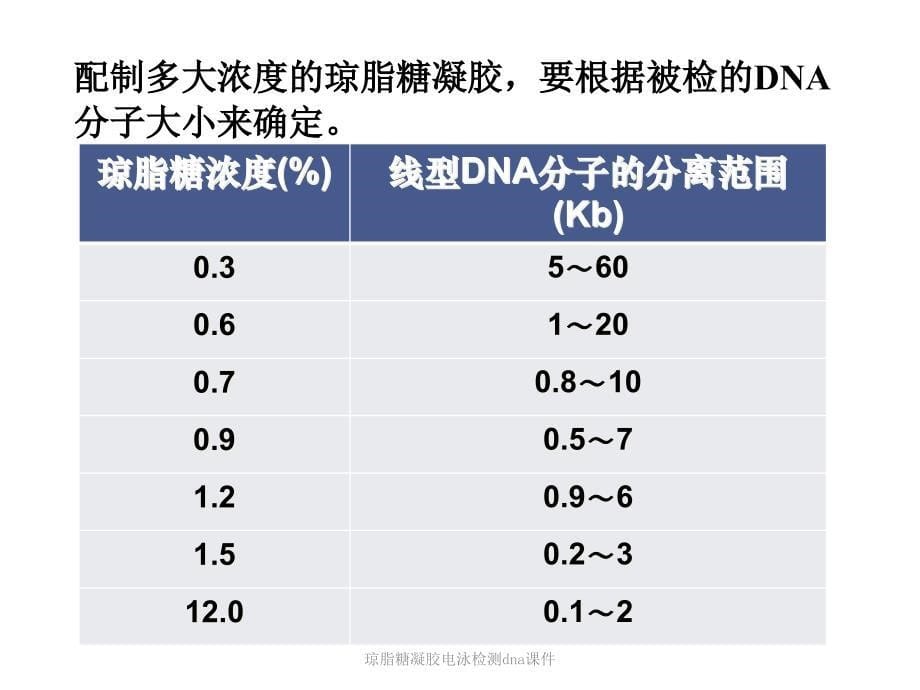 琼脂糖凝胶电泳检测dna课件_第5页