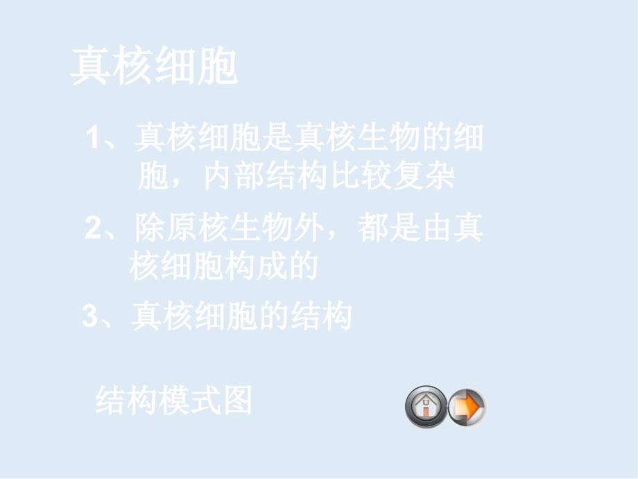 高一生物苏教版必修1课件：3.2细胞的类型和结构_第4页