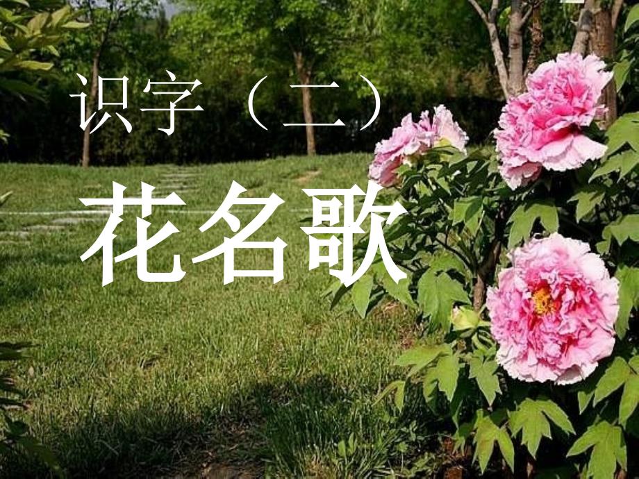 语文一下《花名歌》课件_第1页