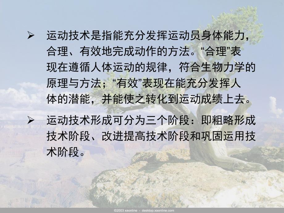 第八章运动技术的测量与评价_第2页