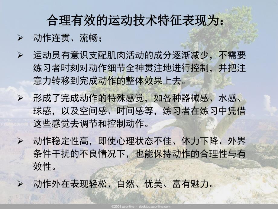 第八章运动技术的测量与评价_第4页