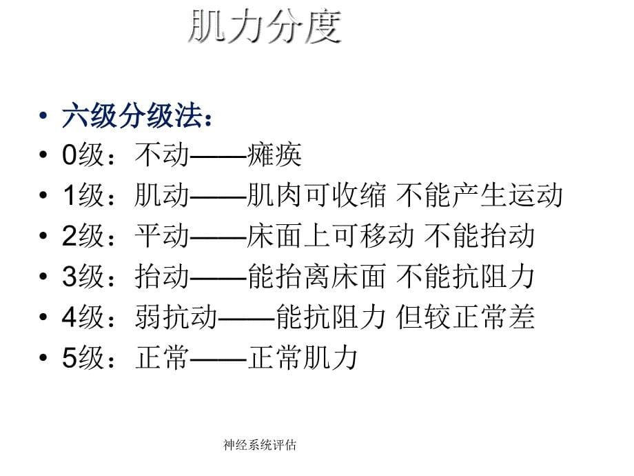 神经系统的评估_第5页