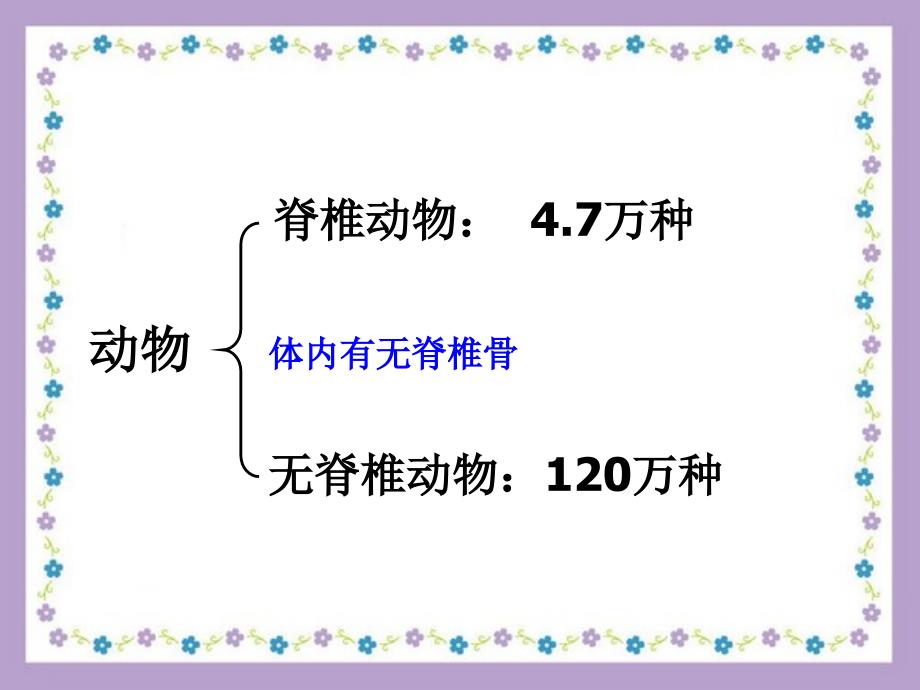 常见的脊椎动物_第2页