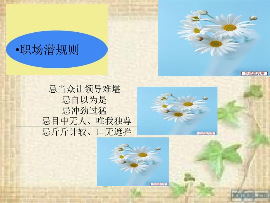 做上司眼中的佼佼者.ppt_第4页