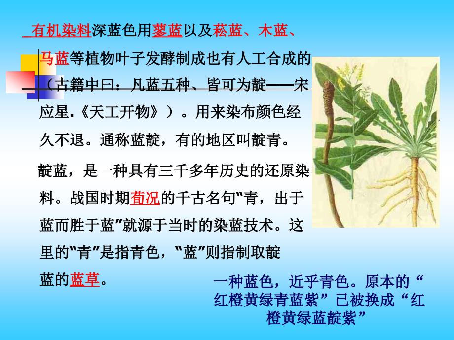 《色素植物资源》PPT课件.ppt_第4页