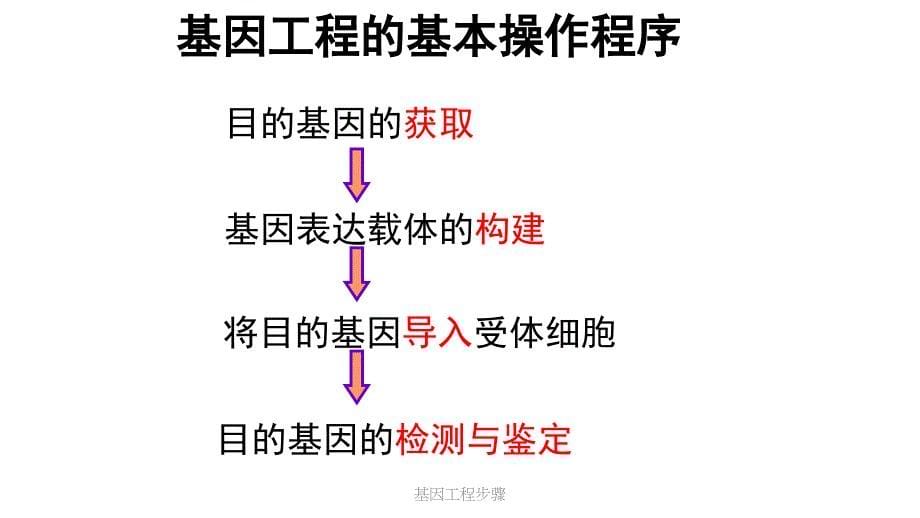 最新基因工程步骤_第5页