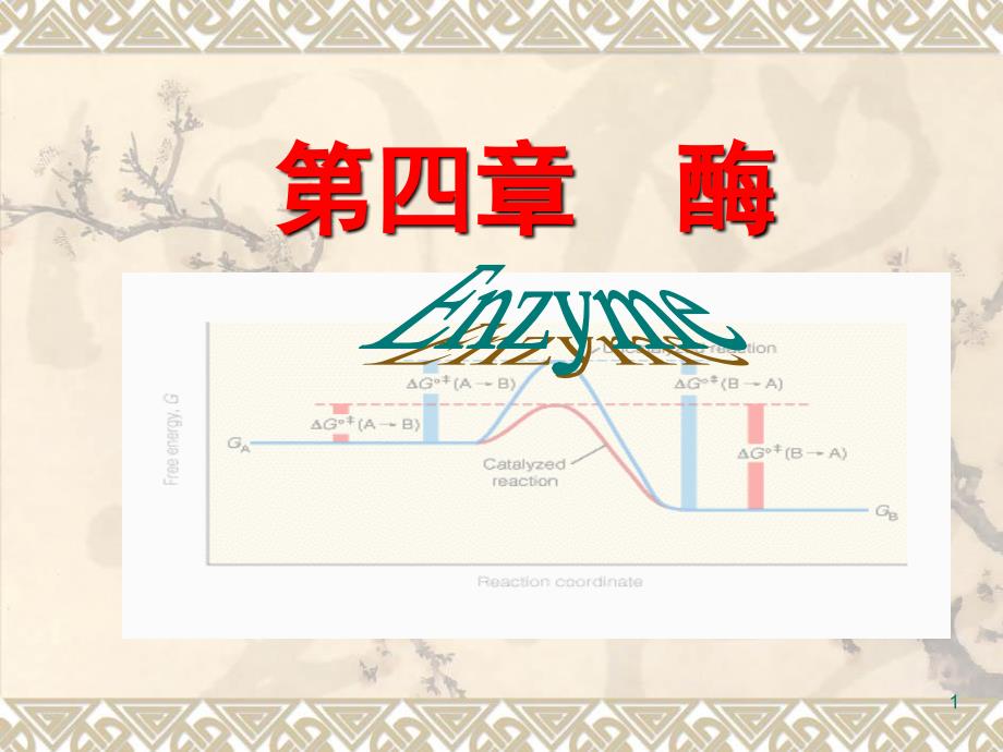生物化学第四章酶演示PPT_第1页