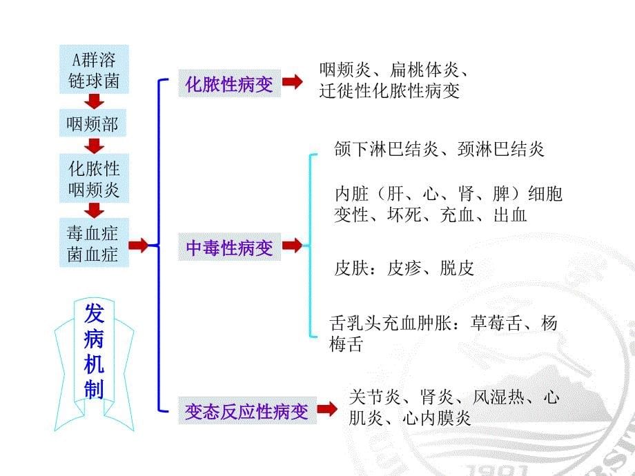 猩红热病人的护理_第5页