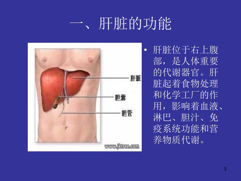 丙肝防治知识讲座PPT幻灯片_第3页