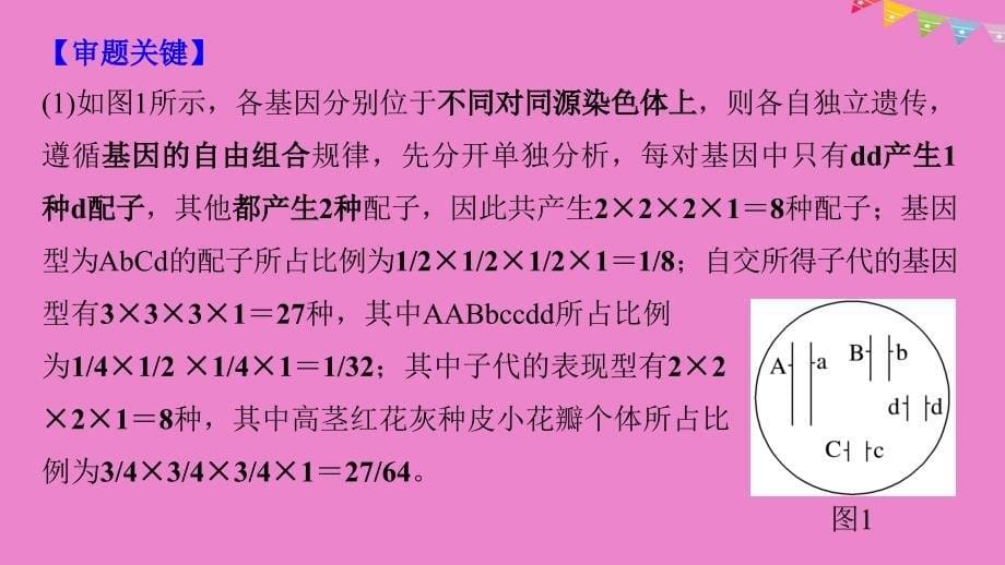 生物热点题型八 全方位突破基因自由组合规律相关题型 北师大版_第5页