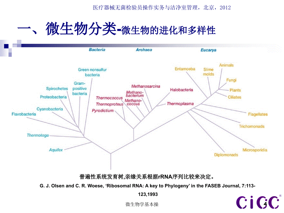 微生物学基本操课件_第4页