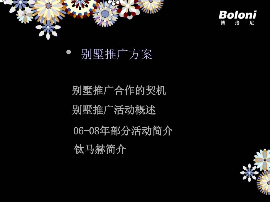 r【广告策PPT】Boloni别墅推广方案_第2页