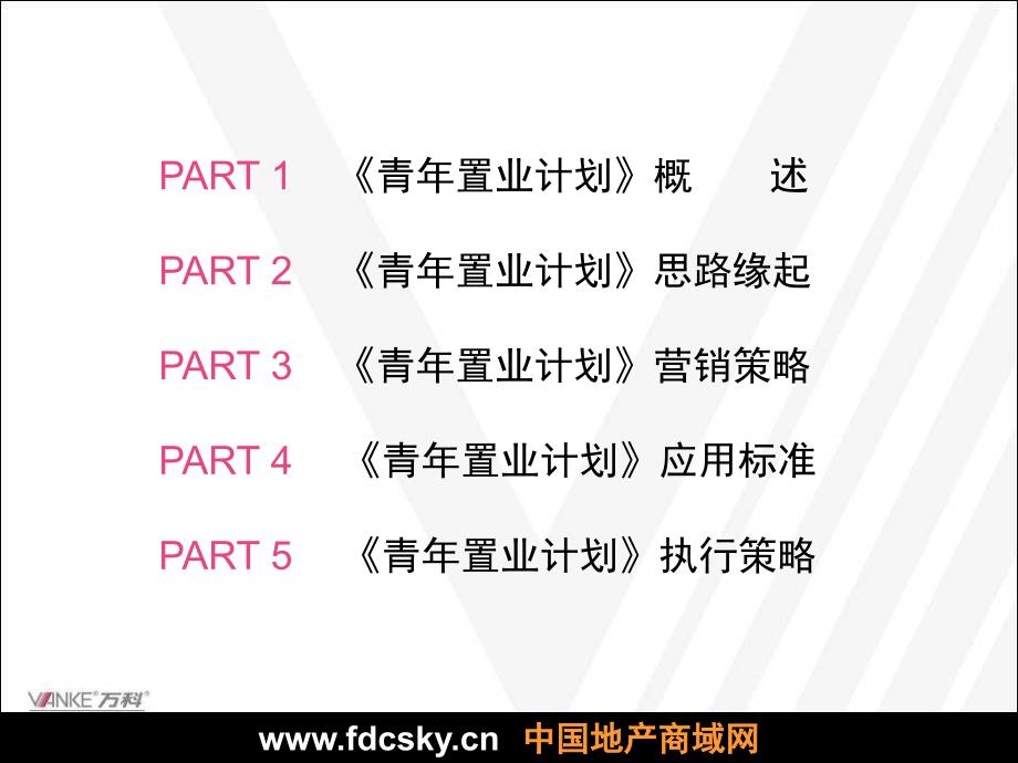 万科青年置业计划推广思路深化方案_第2页