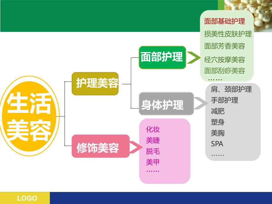 面部皮肤护理_第3页