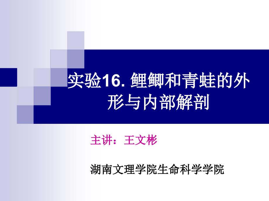 鲤鲫和青蛙的外形与内部解剖_第1页