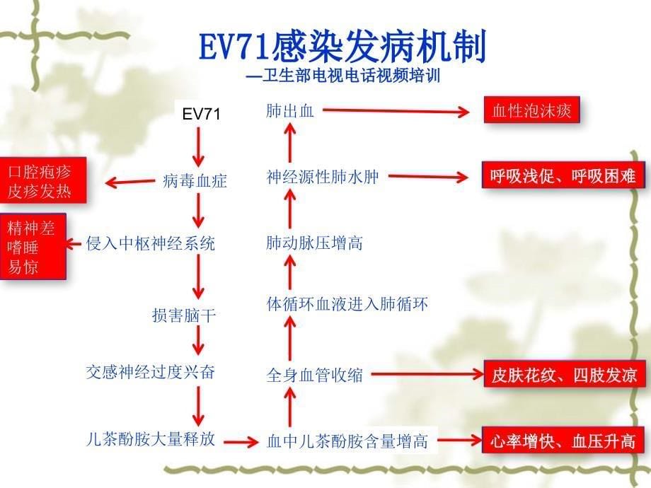 重症手足口病的甄别及救治的若干问题课件_第5页