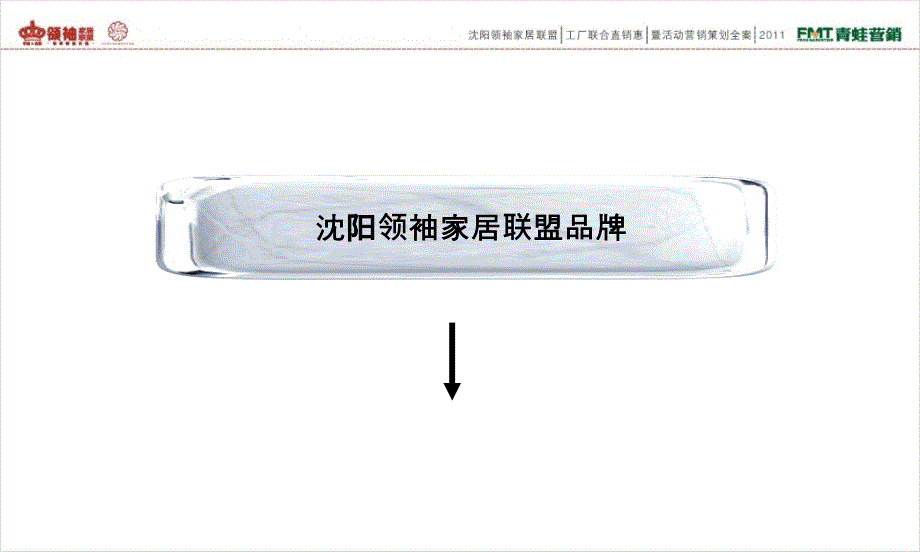 沈阳领袖家居联盟活动方案_第4页