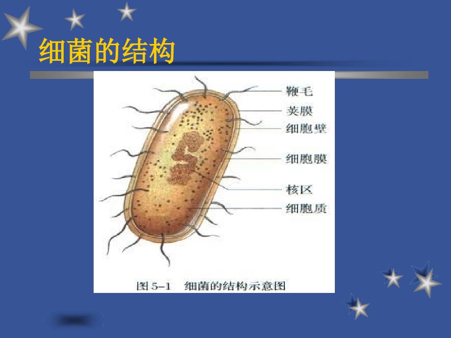 抗菌药物分类及作用机制_第2页