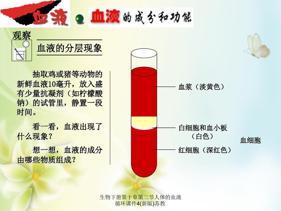 生物下册第十章第二节人体的血液循环课件4新版苏教课件_第1页