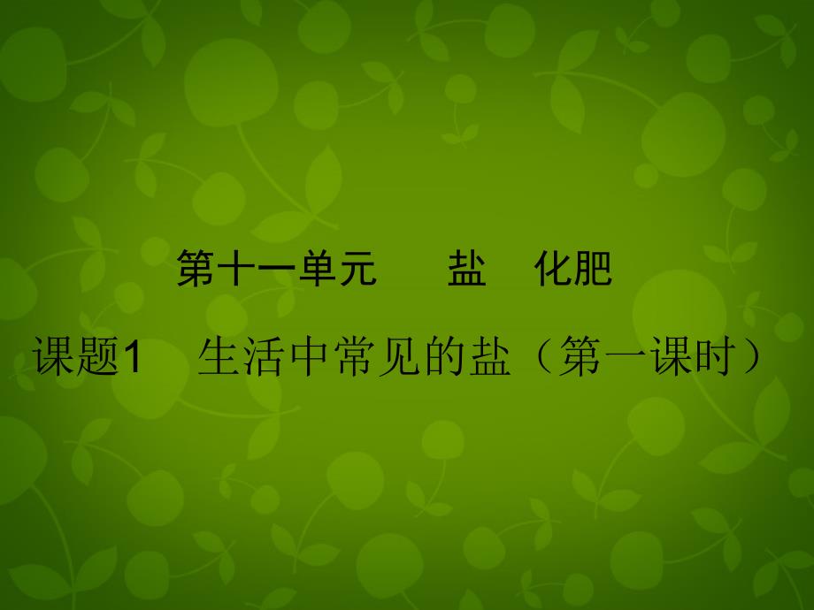 最新人教初中化学九下《11课题1生活中常见的盐》PPT课件 16_第2页